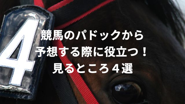 競馬のパドックから予想する際に役立つ！見るところ４選