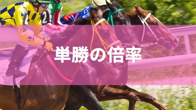 競馬の単勝の倍率