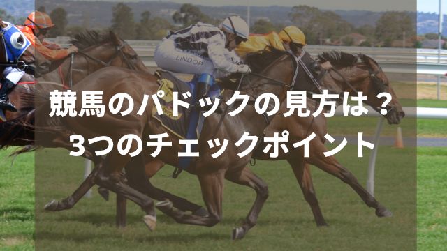 競馬のパドックの見方は？3つのチェックポイント