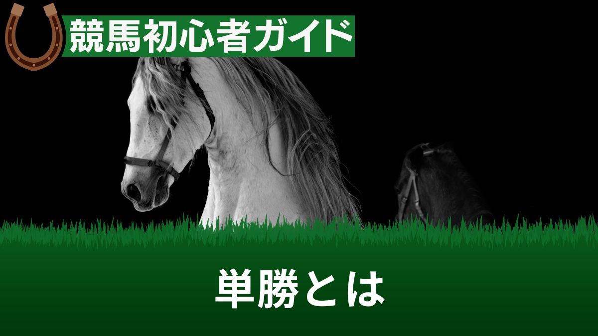 競馬の単勝とは？複勝との違いや買い方のコツ・回収率・期待値・最高額について解説