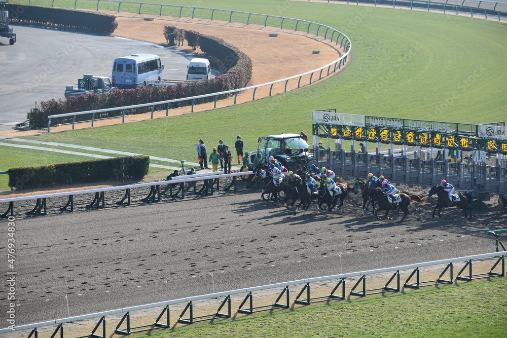 【斤量の見方】競馬レースに与える影響
