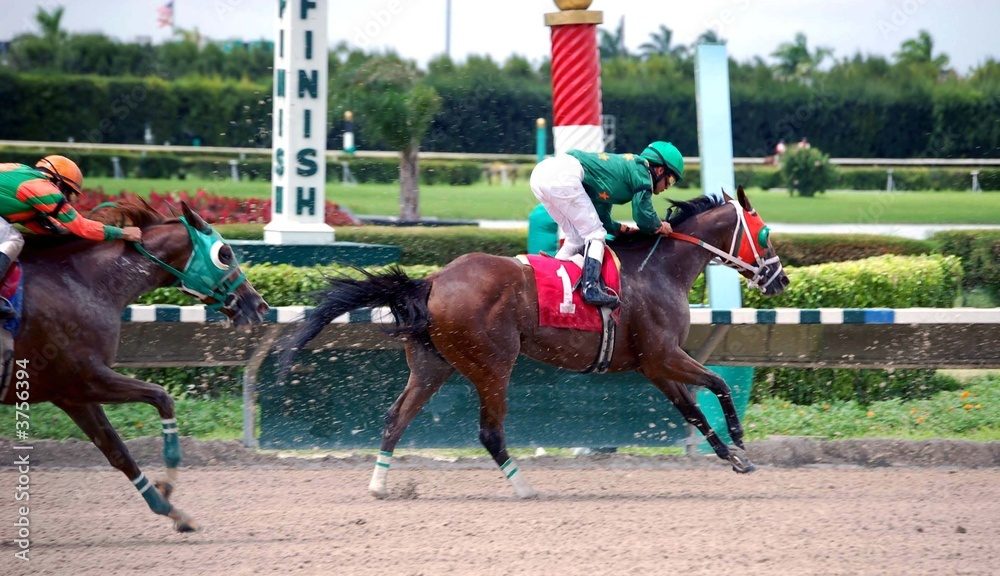 競馬での「3連複軸一頭流し」とは?