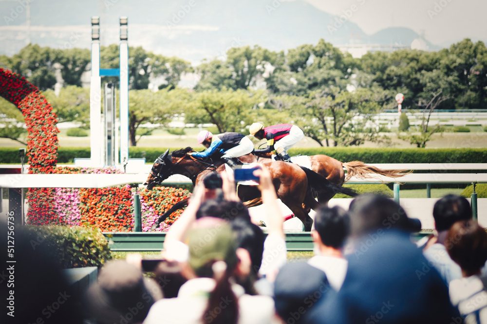 競馬における「軸馬」とは?意味や読み方・基準を解説