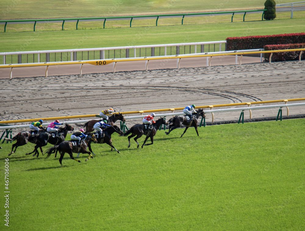 競馬のマルチでの購入点数は何とおり?