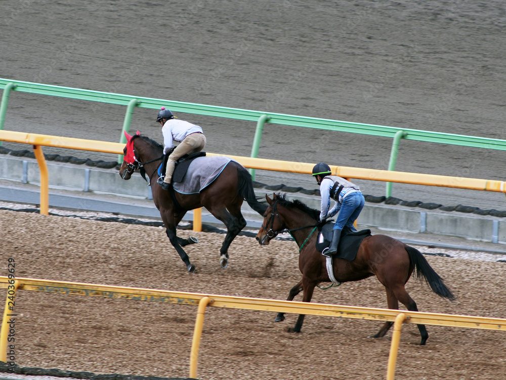 競馬の調教師の主な仕事内容
