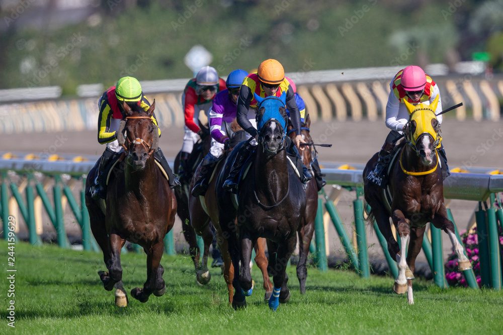 競馬のクラシックレースに出走するための条件
