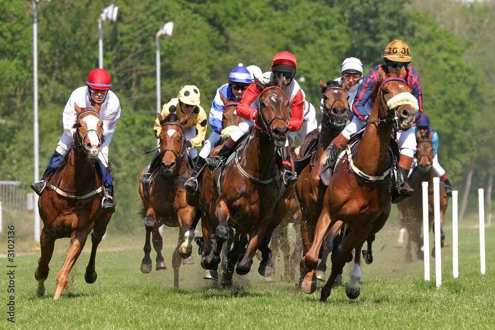 競馬のレースにおける先行馬のメリット