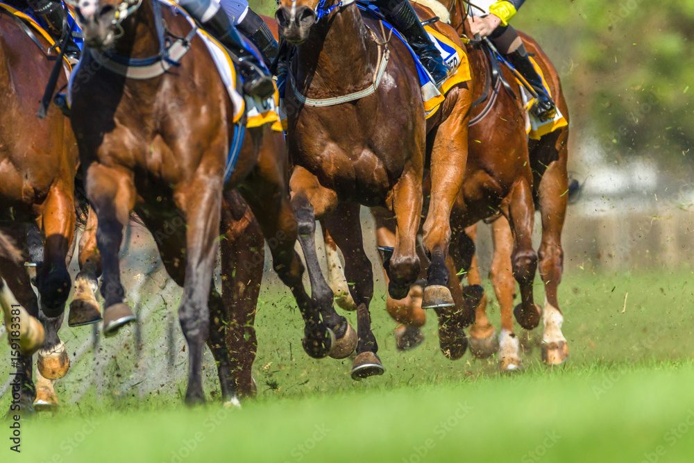 競馬の「追い込み」以外の脚質