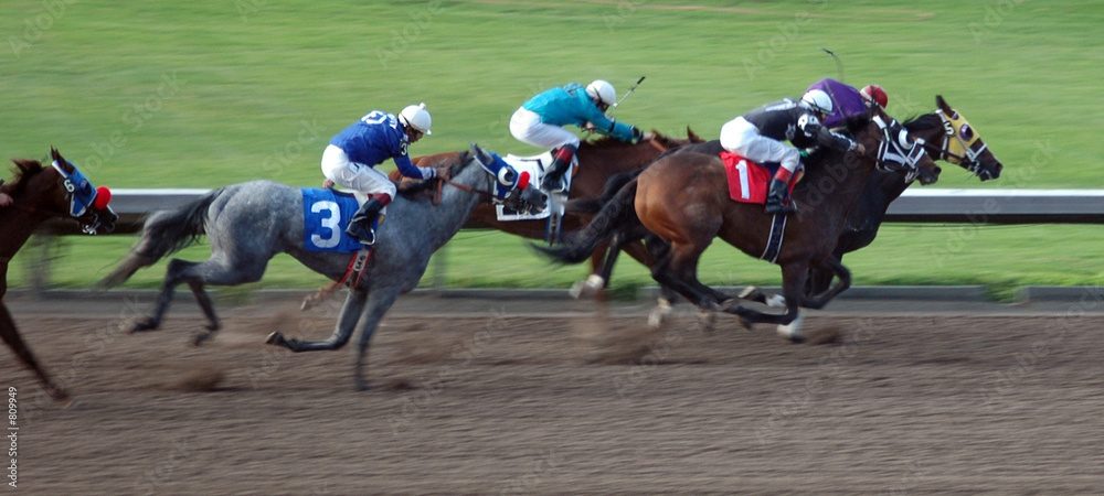 競馬のレースにおける追い込み馬のメリット