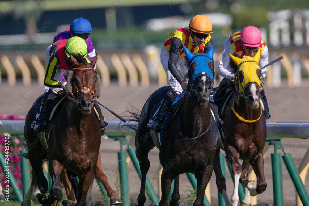 競馬の障害レースでは落馬の可能性もある