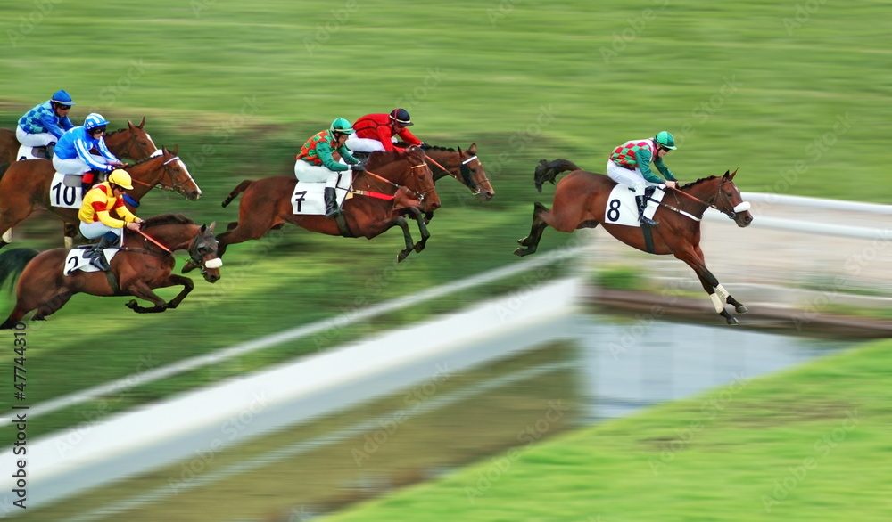 障害レースの様子